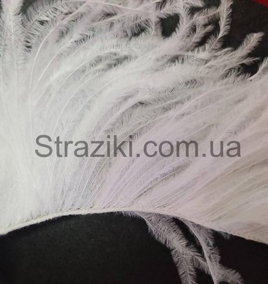 6-10см двухслойные БЕЛЫЕ страусиные перья на тонком шнуре 1м 8827 фото